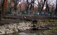 Thumbs 2005 01 07-039 in Parcul Cismigiu