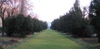 Thumbs 2005 01 07-047 in Parcul Cismigiu