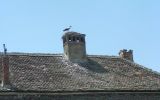 1157 160x120 Pict7040 in Die Rückkehr der Hermannstädter Störche?